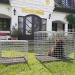 Gedeon Tanya Panzio Gospodarstwo wiejskie Jakabszállás