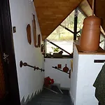 Gedeon Tanya Panzio