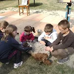 Gedeon Tanya Panzio *
