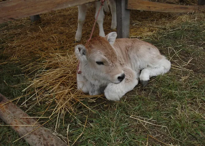 Casa rural Gedeon Tanya Panzió Jakabszállás