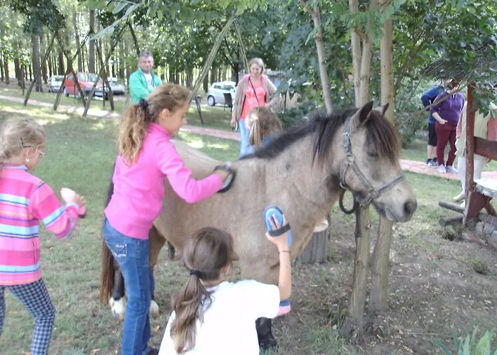 Gedeon Tanya Panzió Casa rural *