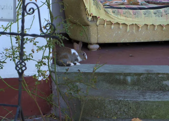 Casa rural Gedeon Tanya Panzió Jakabszállás